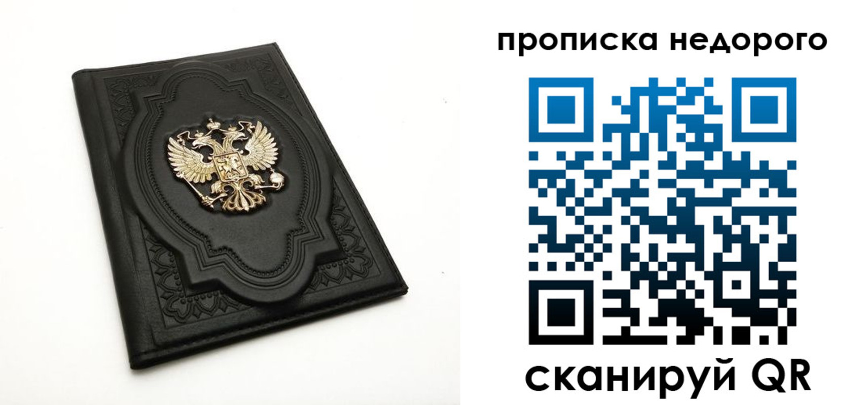 прописка для школы в Ершове